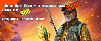 Juega y gana en vivo